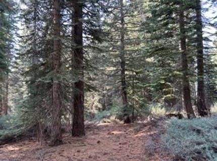 23 Blue Rock Trail, Dorrington, CA 95223 Photo