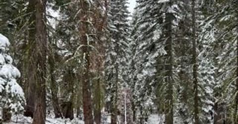 23 Blue Rock Trail, Dorrington, CA 95223 Photo