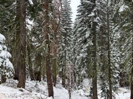 23 Blue Rock Trail, Dorrington, CA 95223 Photo