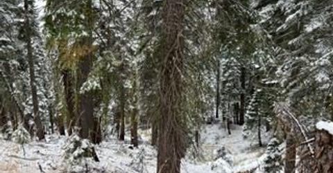 23 Blue Rock Trail, Dorrington, CA 95223 Photo