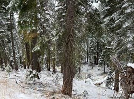 23 Blue Rock Trail, Dorrington, CA 95223 Photo