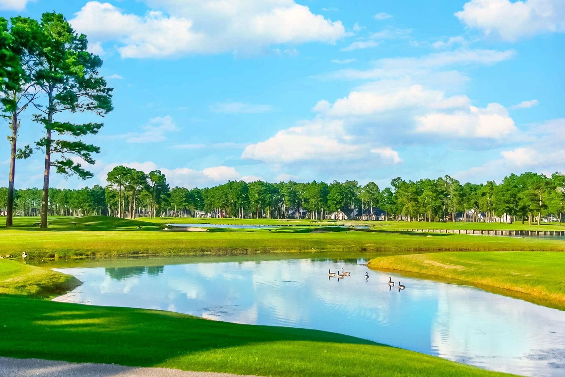 405 Heathside St.  Photo 43