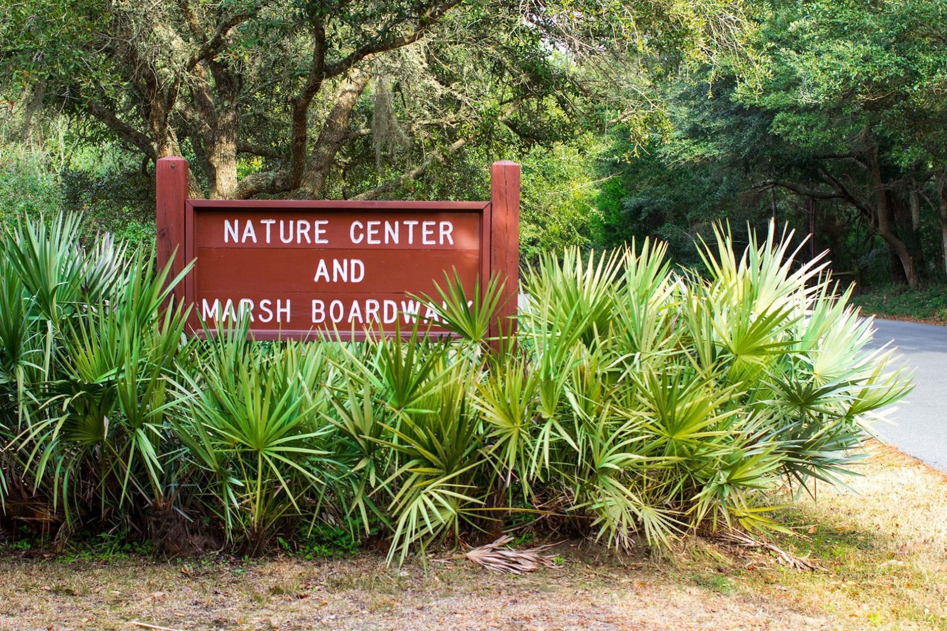 405 Heathside St.  Photo 46