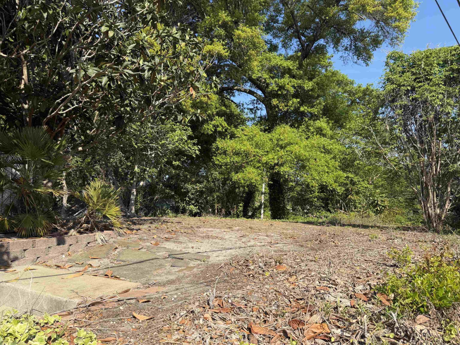 401 Oak Lake Circle  Photo 39