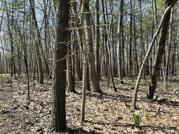 6718 Beechnut Ridge, Unit 239, Canadian Lakes, MI 49346