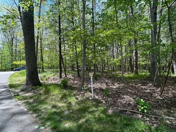 6718 Beechnut Ridge, Unit 239, Canadian Lakes, MI 49346
