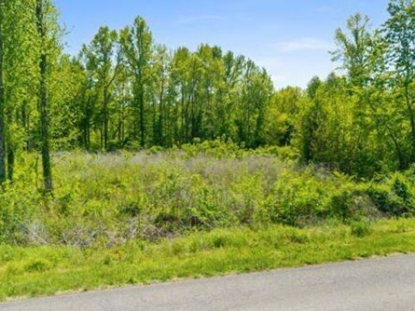 Old Mine Rd, Sweetwater, TN 37874