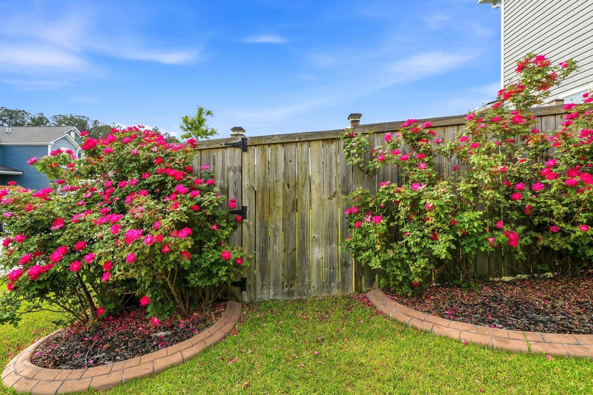 210 Basket Grass Lane Photo 47