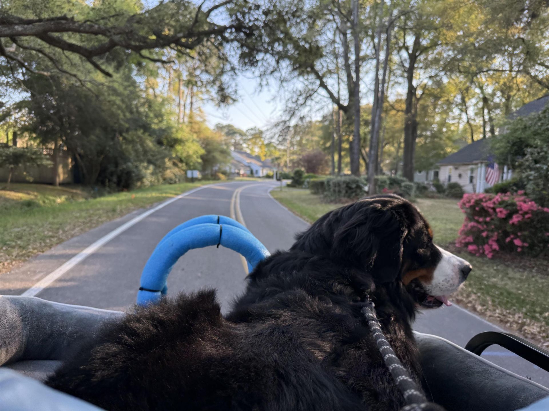 388 Linden Circle  Photo 44