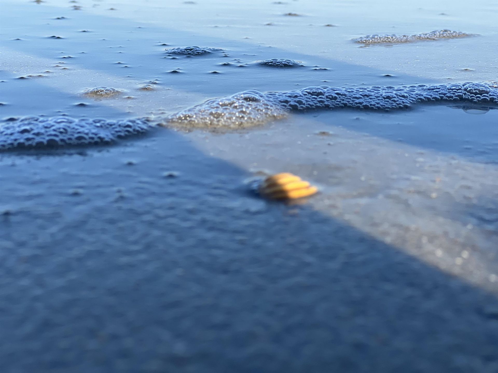 388 Linden Circle  Photo 47