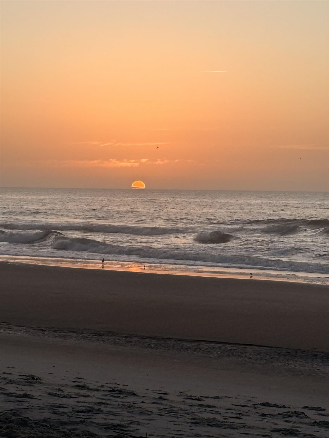 388 Linden Circle  Photo 49