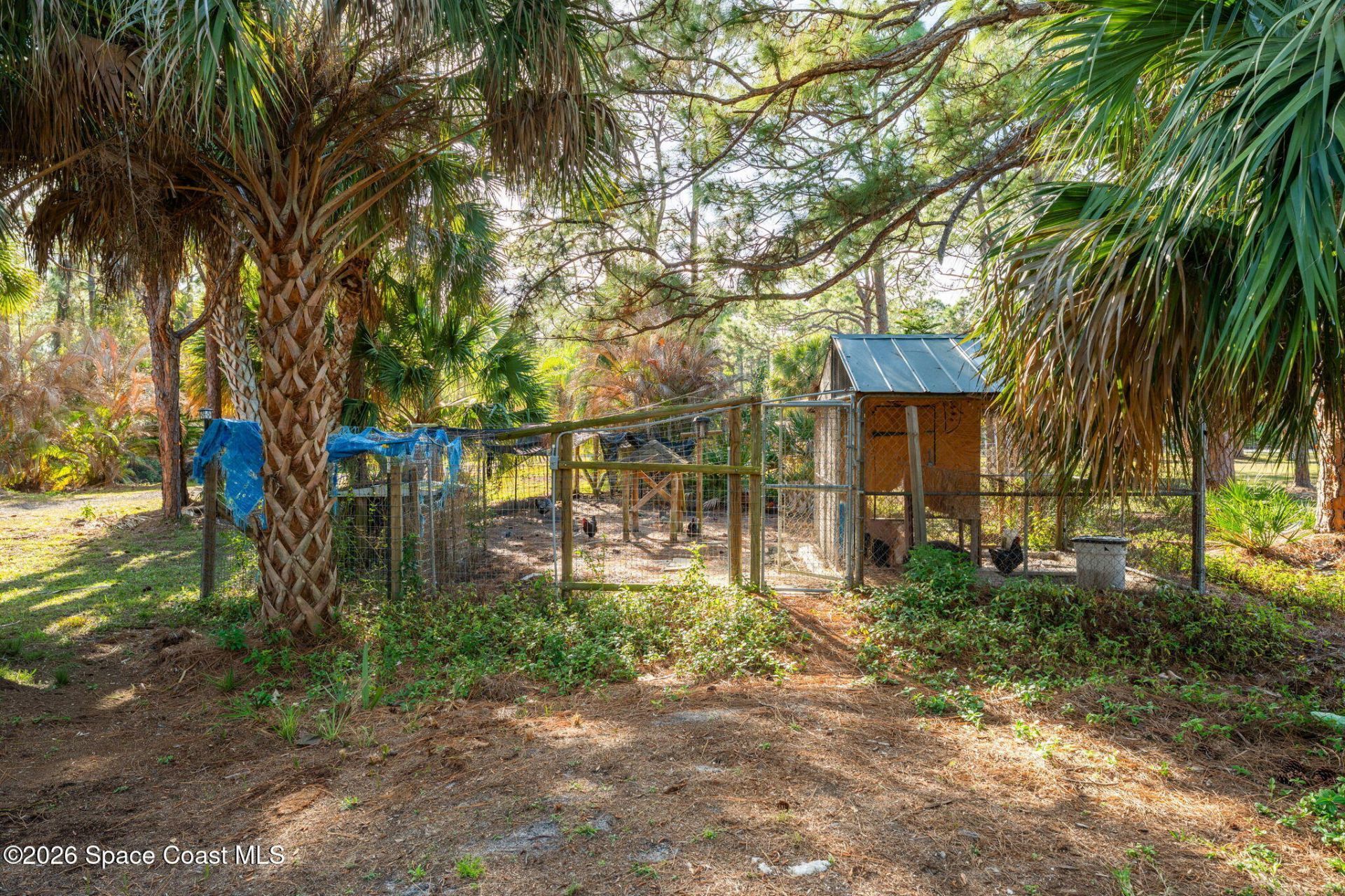 6895 Cottonwood Drive, Grant, FL 32949 Photo