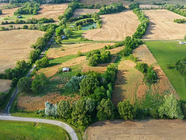 1632 Williams Road, Alamo, TN 38001