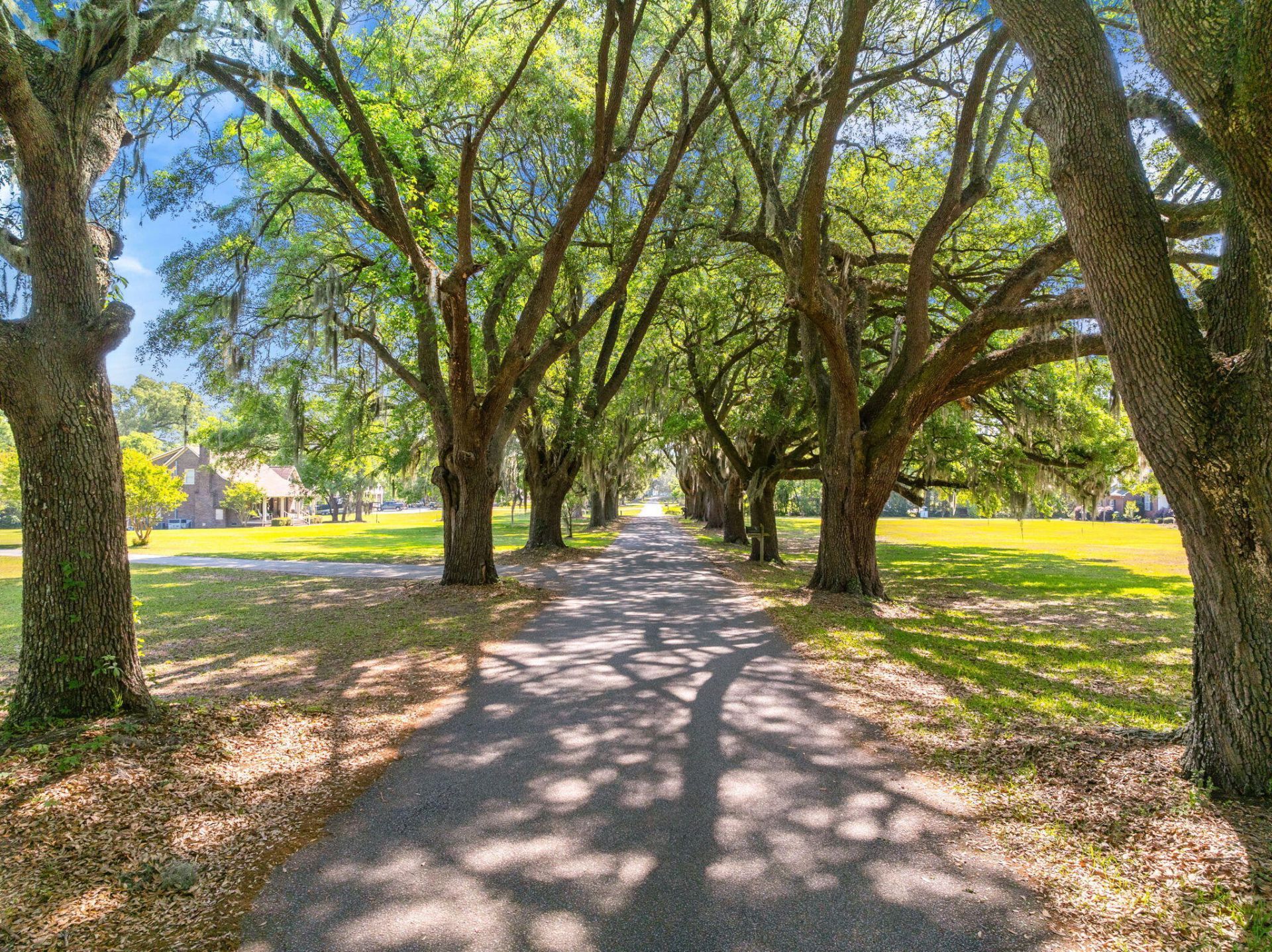 271 Dairy Farm Road Photo 35