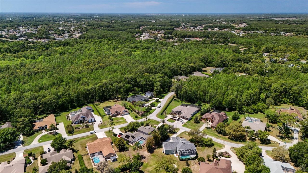 5250 Macoso Court, New Port Richey, FL 34655 Photo