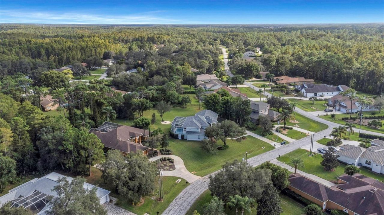 5250 Macoso Court, New Port Richey, FL 34655 Photo