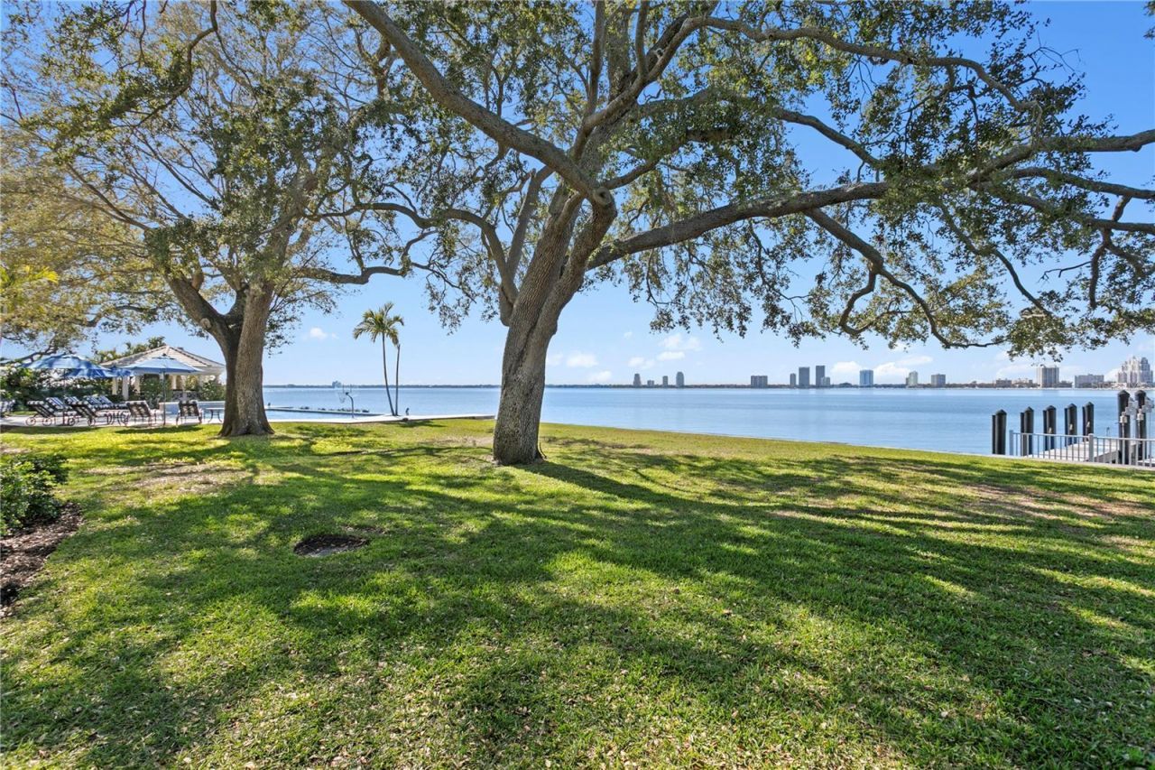 52 Ladoga Avenue, Tampa, FL 33606 Photo