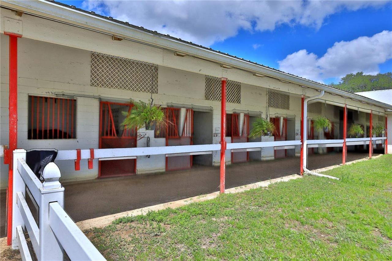 4450 SE 216th Avenue, Morriston, FL 32668 Photo