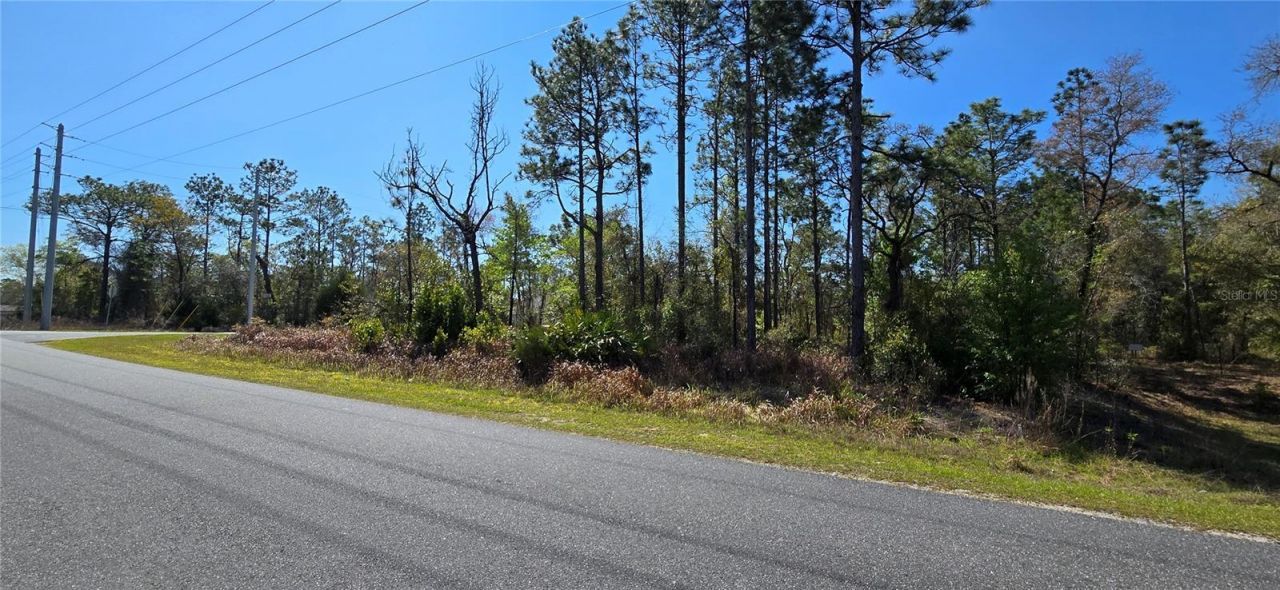 12398 Ruffed Grouse Road , Weeki Wachee, FL 34614 Photo