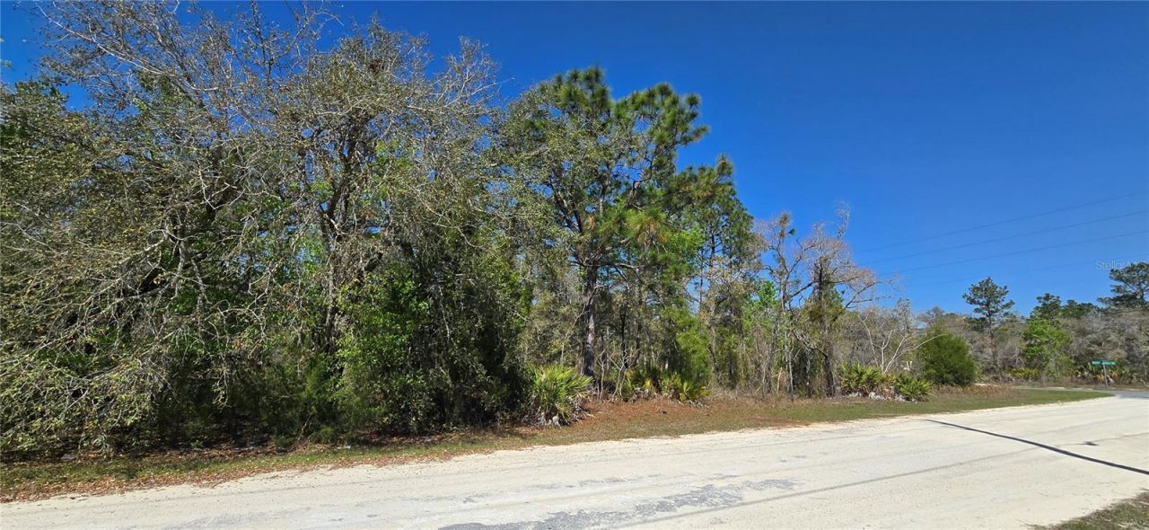 12398 Ruffed Grouse Road , Weeki Wachee, FL 34614 Photo