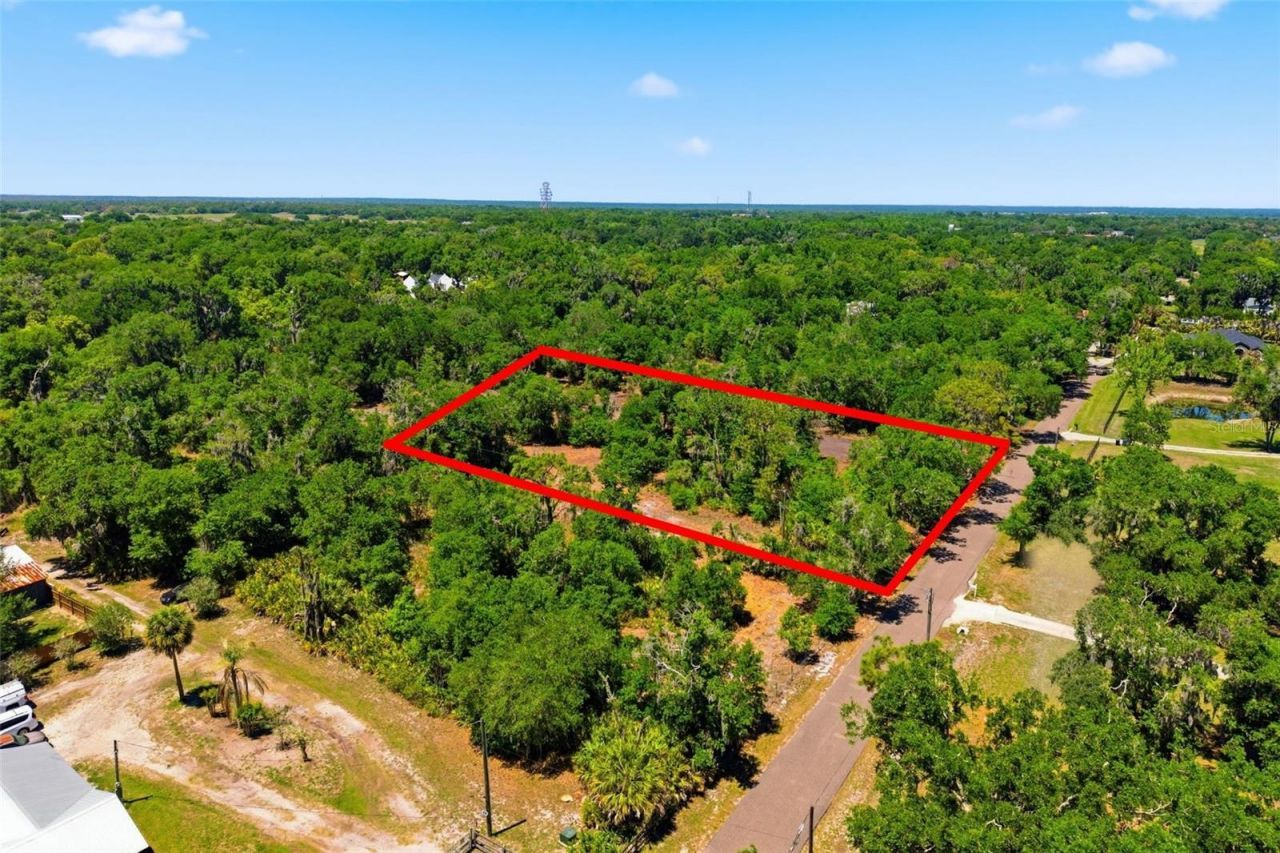 19084 Red Bird Lane , Lot #LOT 1, Lithia, FL 33547 Photo