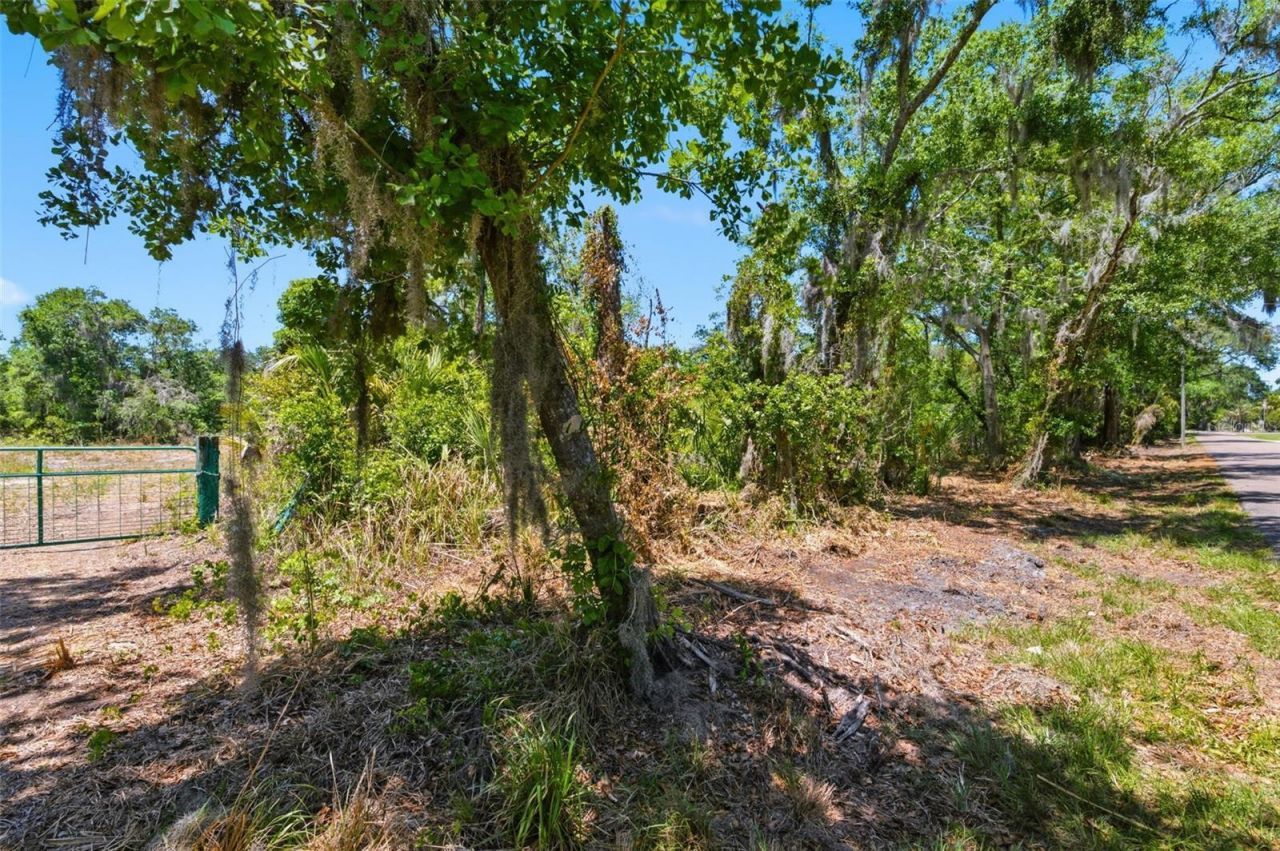 19084 Red Bird Lane , Lot #LOT 1, Lithia, FL 33547 Photo