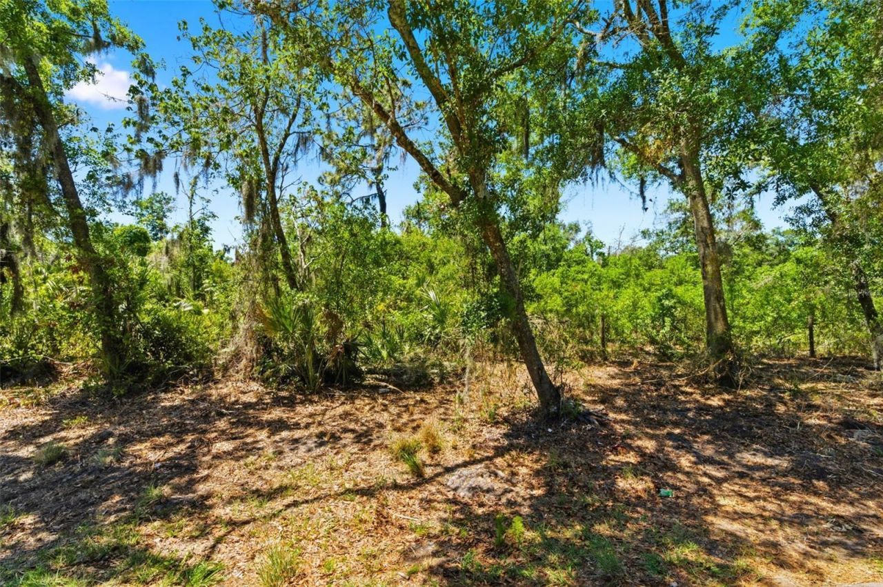 19084 Red Bird Lane , Lot #LOT 1, Lithia, FL 33547 Photo