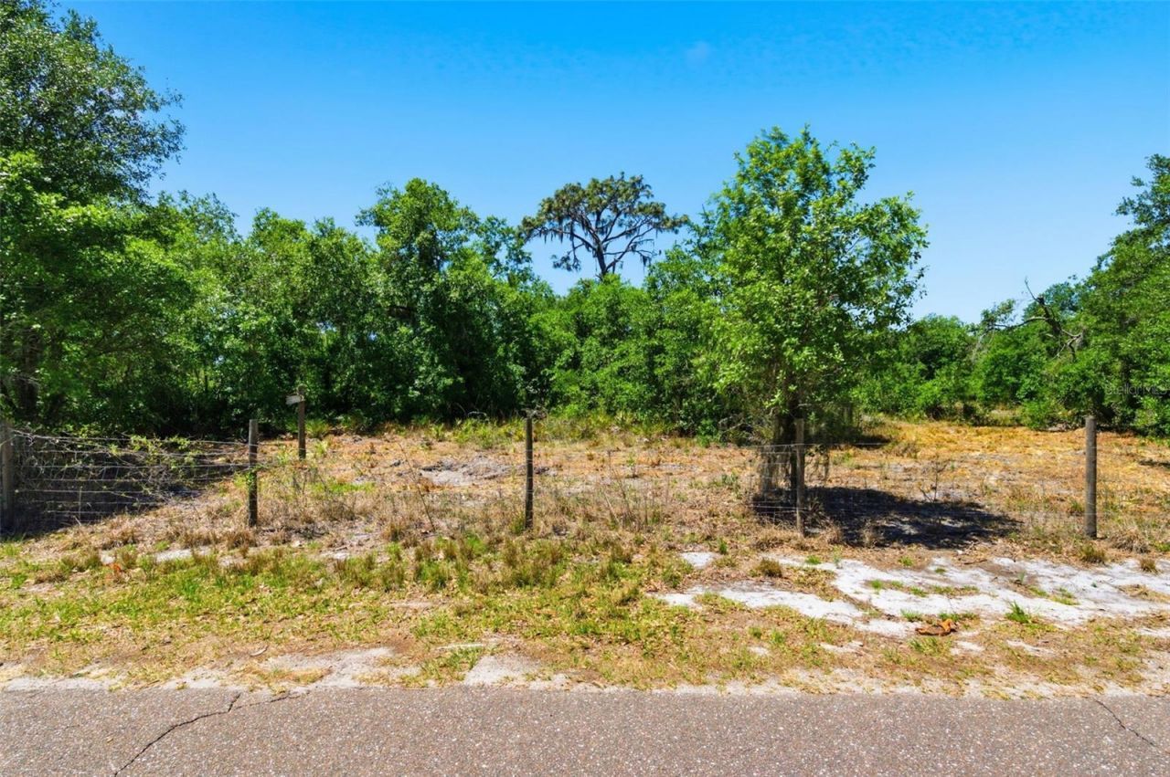 19084 Red Bird Lane , Lot #LOT 2, Lithia, FL 33547 Photo