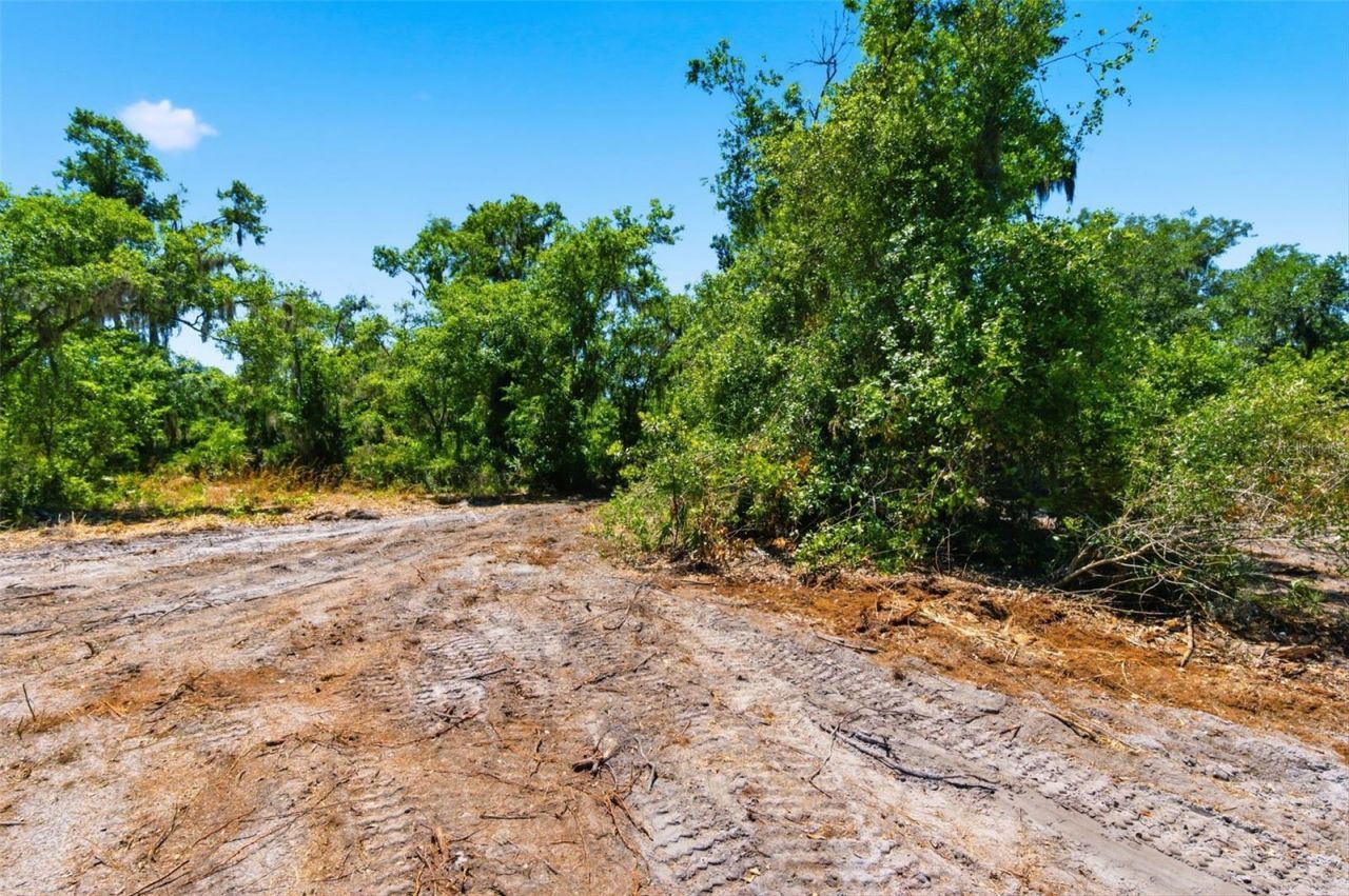 19084 Red Bird Lane , Lot #LOT 3, Lithia, FL 33547 Photo