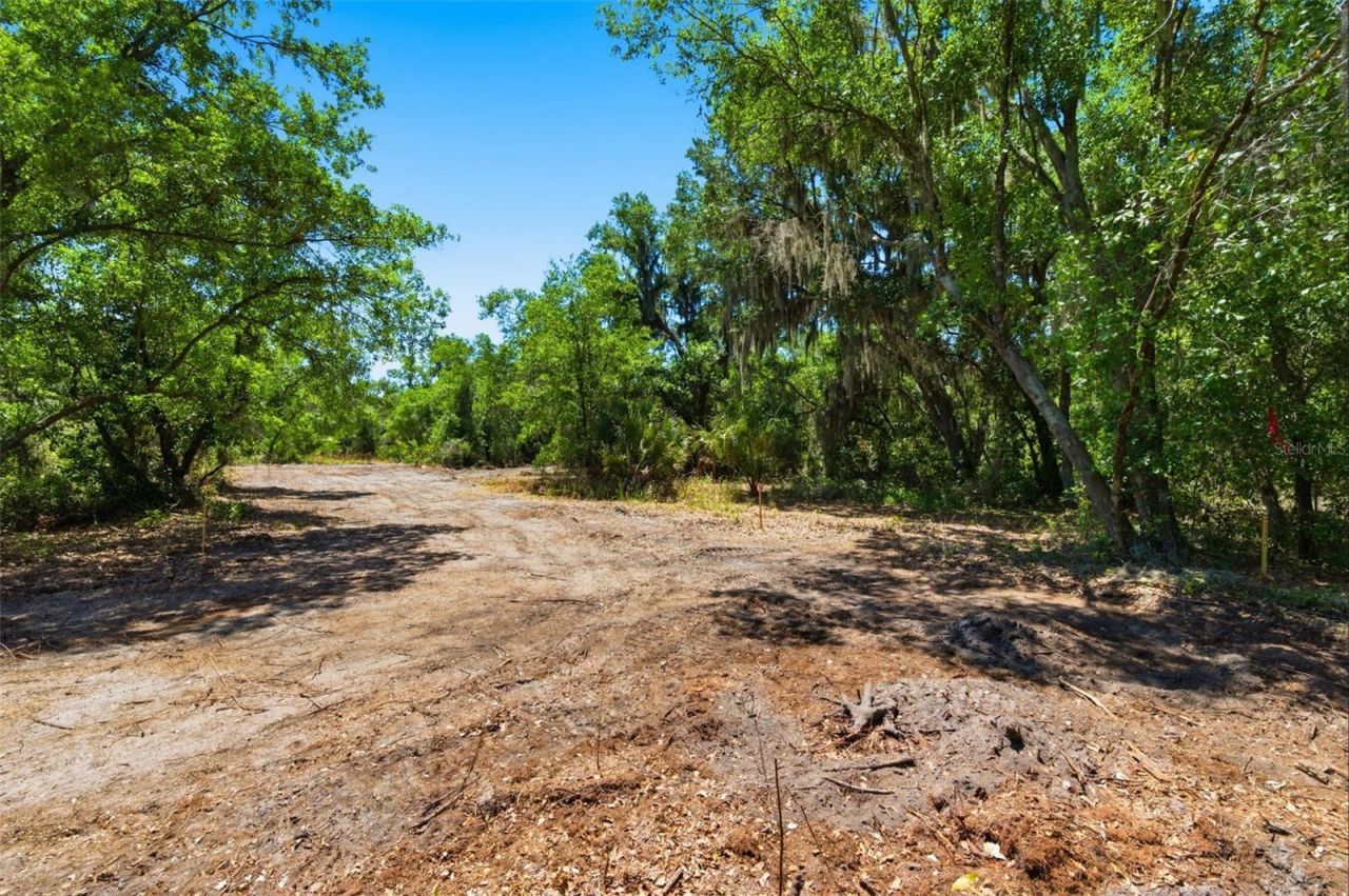 19084 Red Bird Lane , Lot #LOT 4, Lithia, FL 33547 Photo