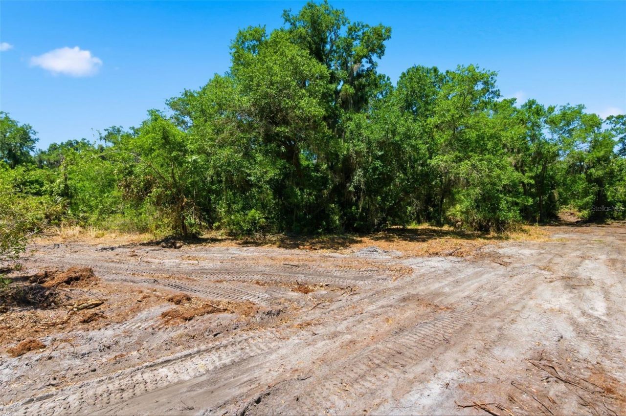 19084 Red Bird Lane , Lot #LOT 4, Lithia, FL 33547 Photo