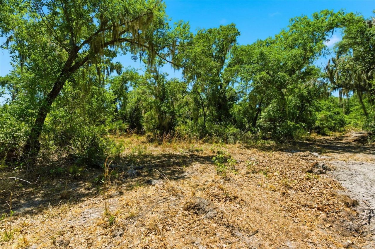 19084 Red Bird Lane , Lot #LOT 4, Lithia, FL 33547 Photo