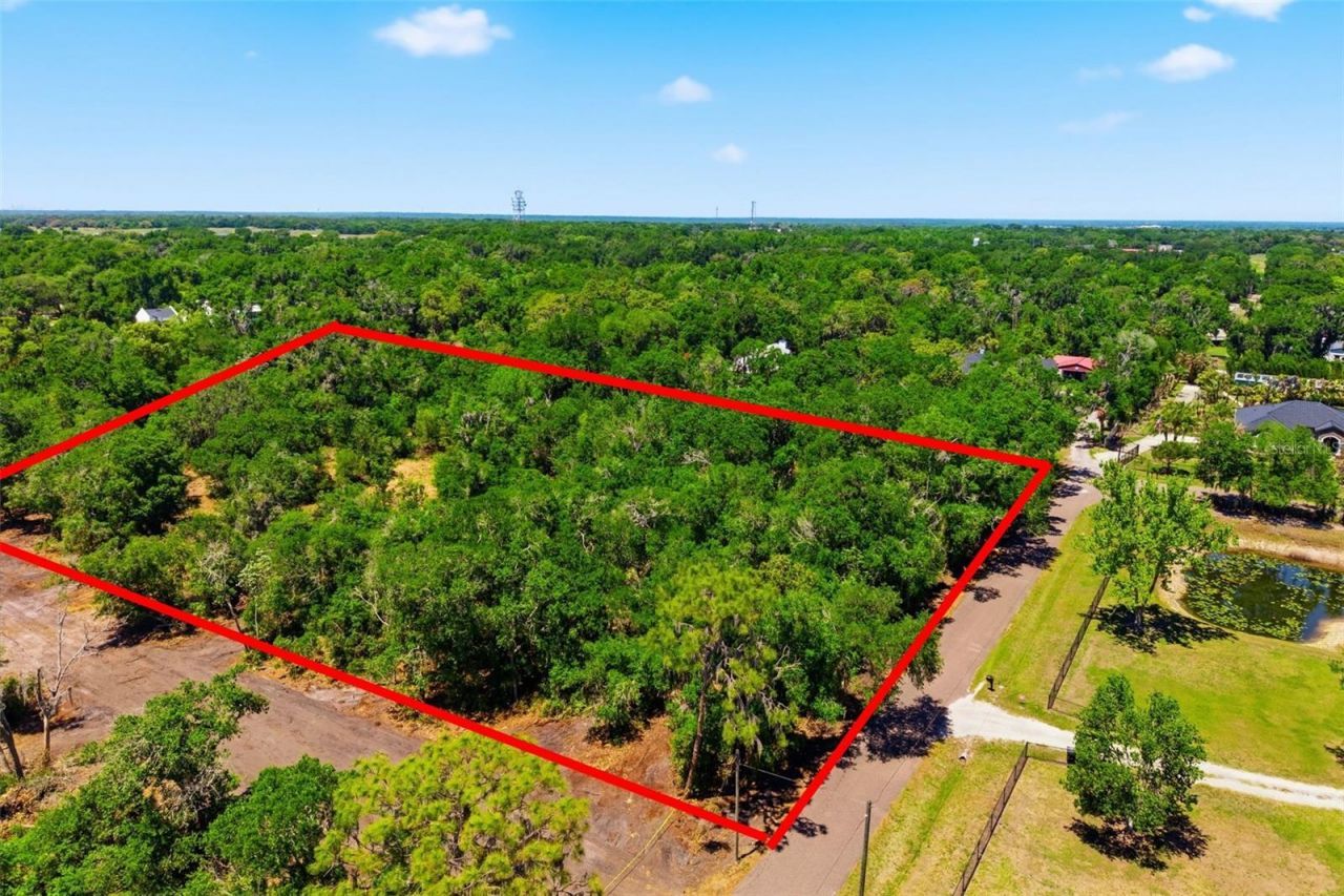 19084 Red Bird Lane , Lot #LOT 5, Lithia, FL 33547 Photo