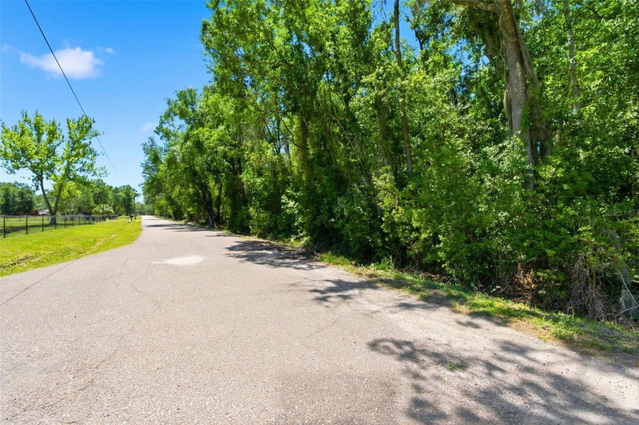 19084 Red Bird Lane , Lot #LOT 5, Lithia, FL 33547 Photo