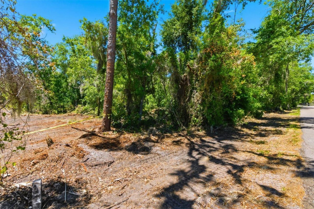 19084 Red Bird Lane , Lot #LOT 5, Lithia, FL 33547 Photo