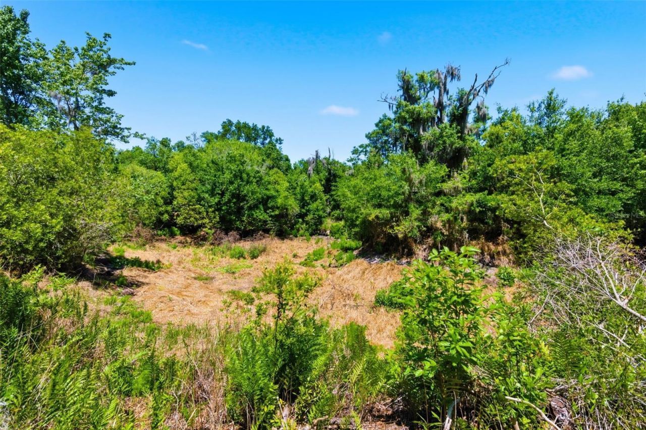 19084 Red Bird Lane , Lot #LOT 5, Lithia, FL 33547 Photo