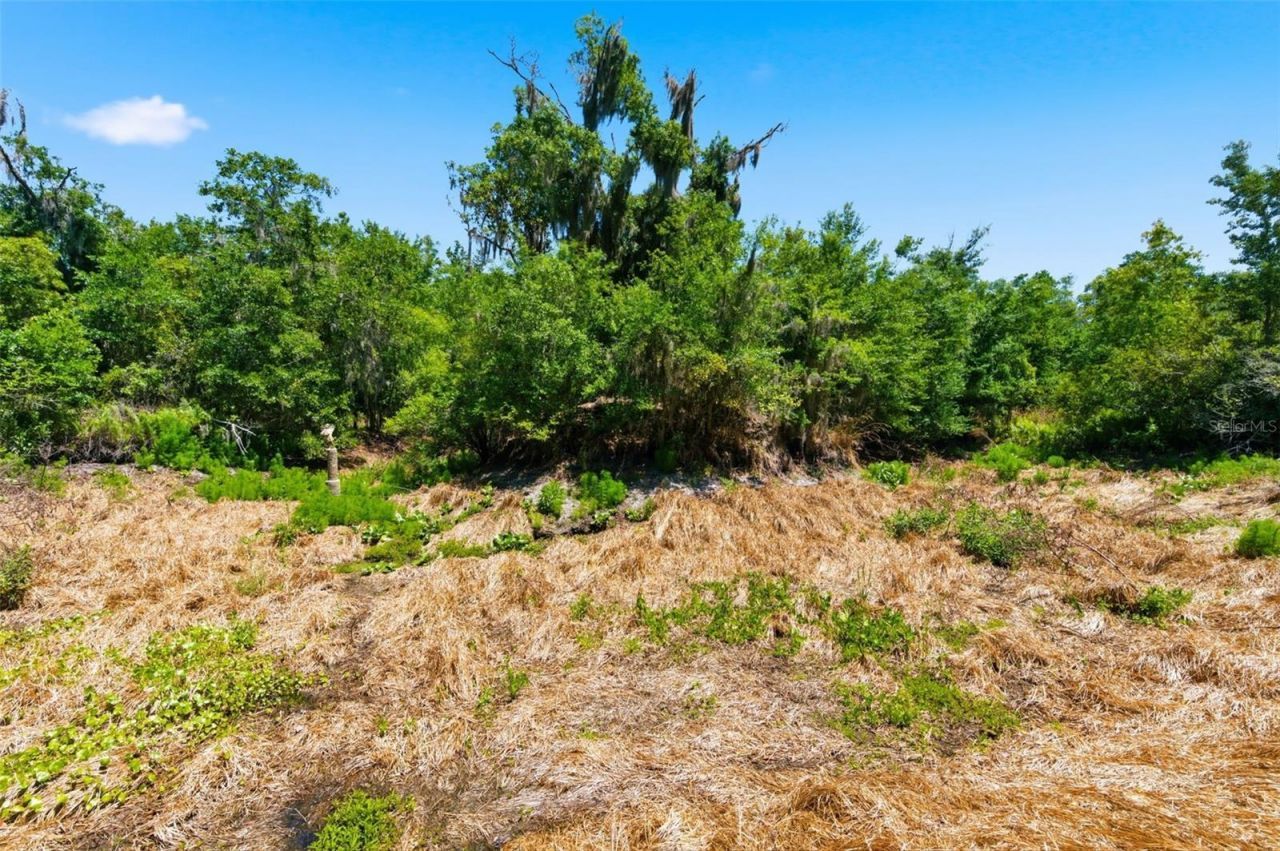 19084 Red Bird Lane , Lot #LOT 5, Lithia, FL 33547 Photo