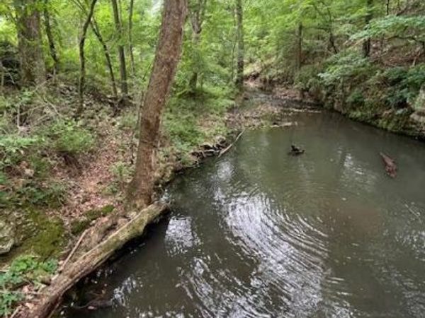 35771 S 575 Road , Jay, OK 74346