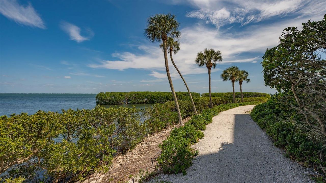 2110 Harbourside Drive, Unit 536, Longboat Key, FL 34228 Photo