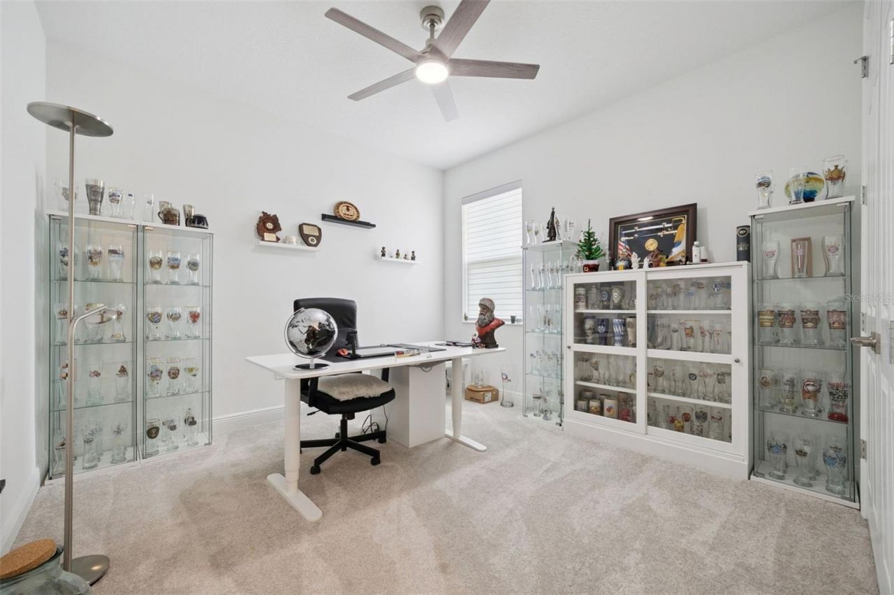 5897 Sierra Crown Street, Mount Dora, FL 32757 Photo