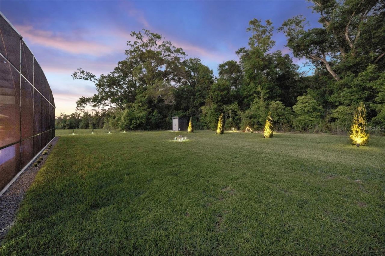 5897 Sierra Crown Street, Mount Dora, FL 32757 Photo