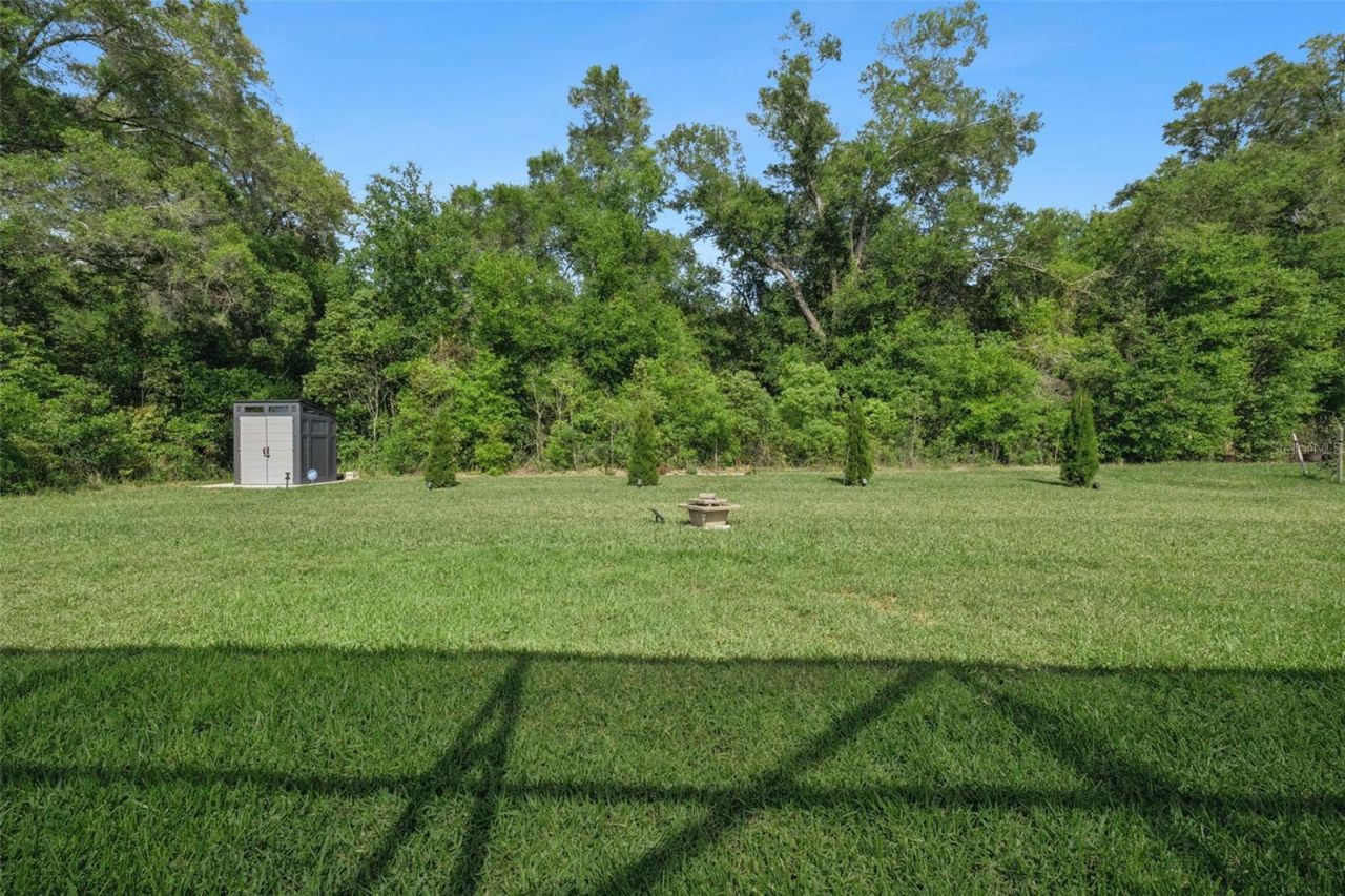 5897 Sierra Crown Street, Mount Dora, FL 32757 Photo
