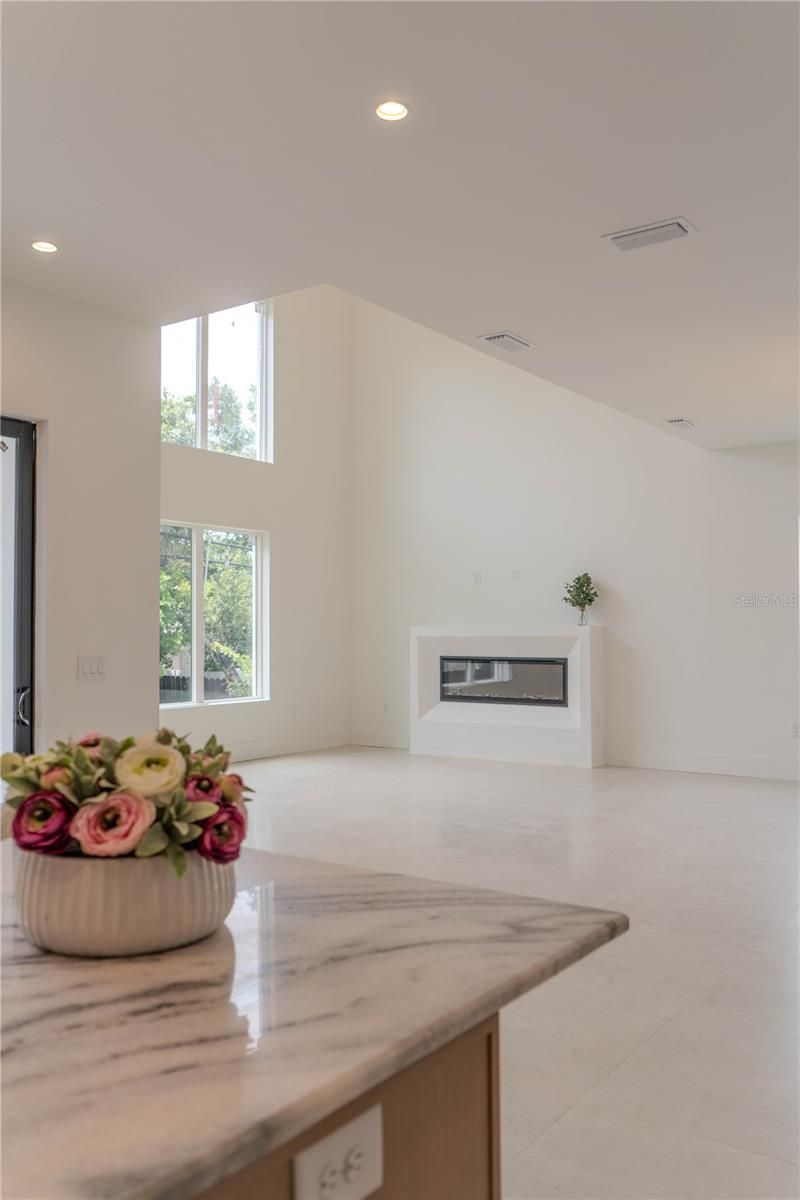 4414 W Lawn Avenue, Tampa, FL 33611 Photo