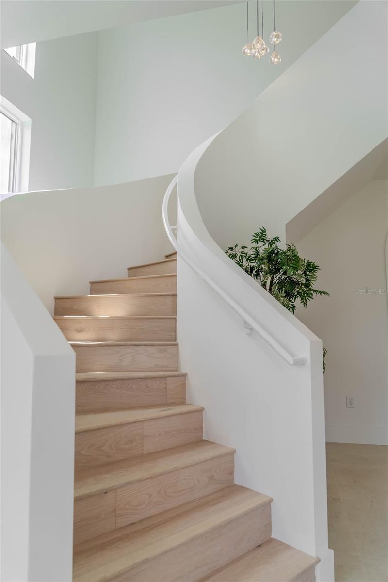 4414 W Lawn Avenue, Tampa, FL 33611 Photo