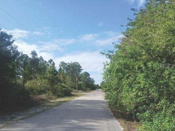 1302 WILLARD AVENUE , LEHIGH ACRES, FL 33972