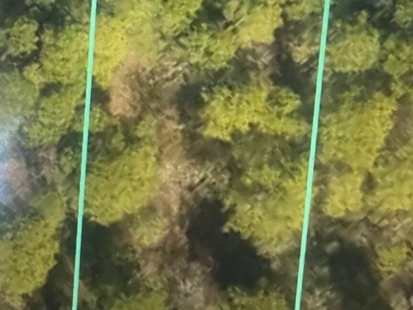 250 S Horsepen Drive , Harrells, NC 28444