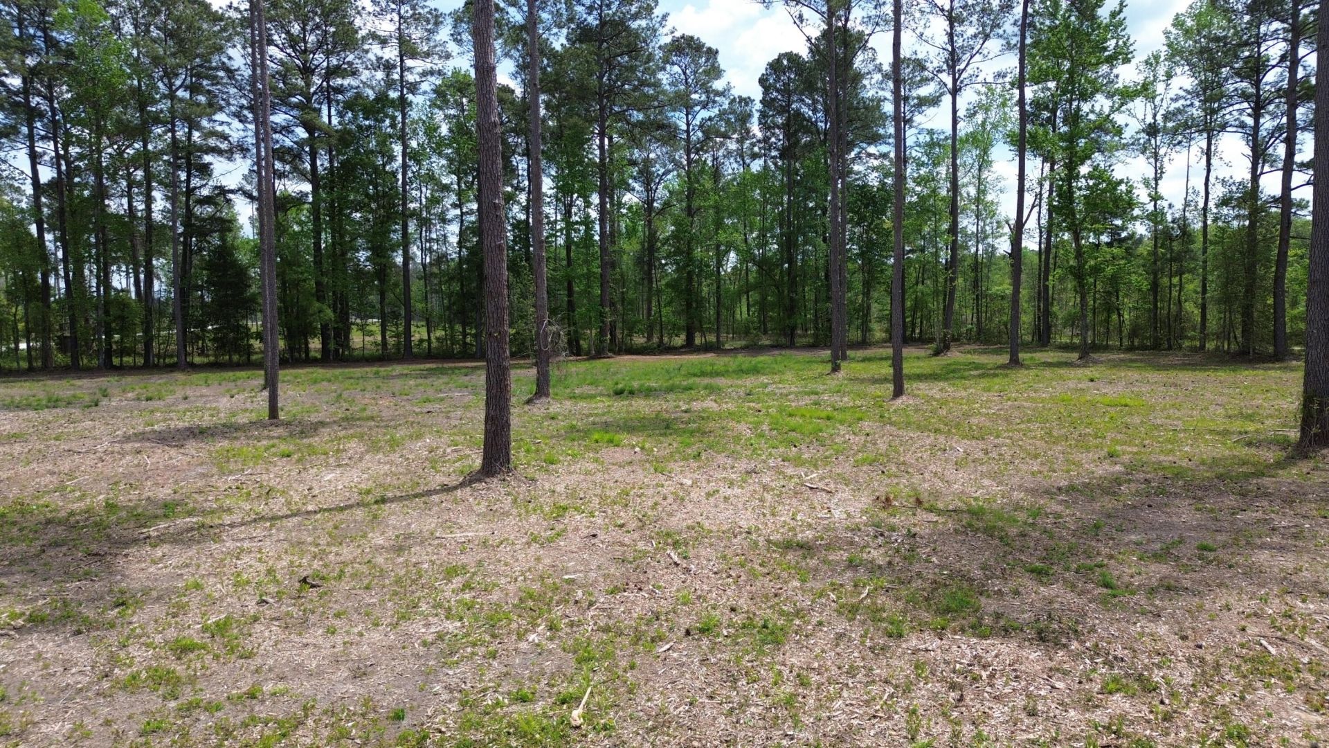 4 Highway 27 Photo 10