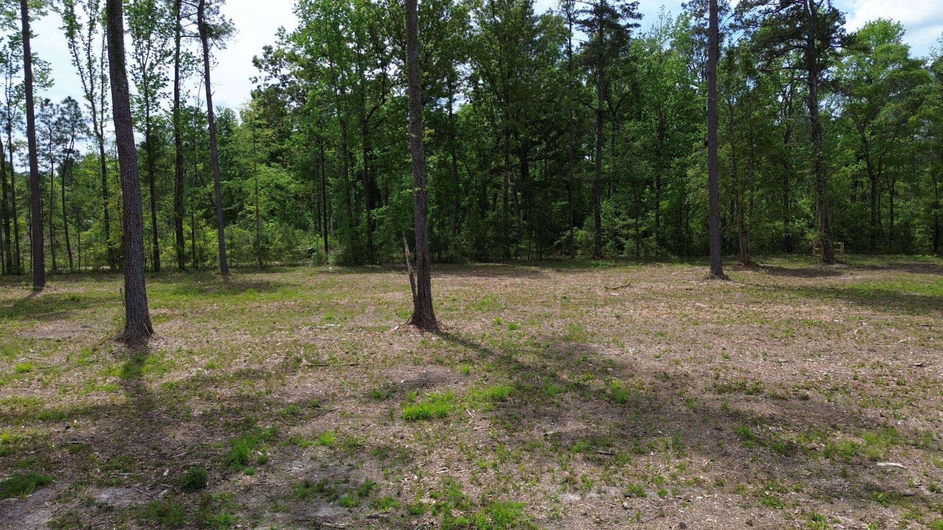 4 Highway 27 Photo 11