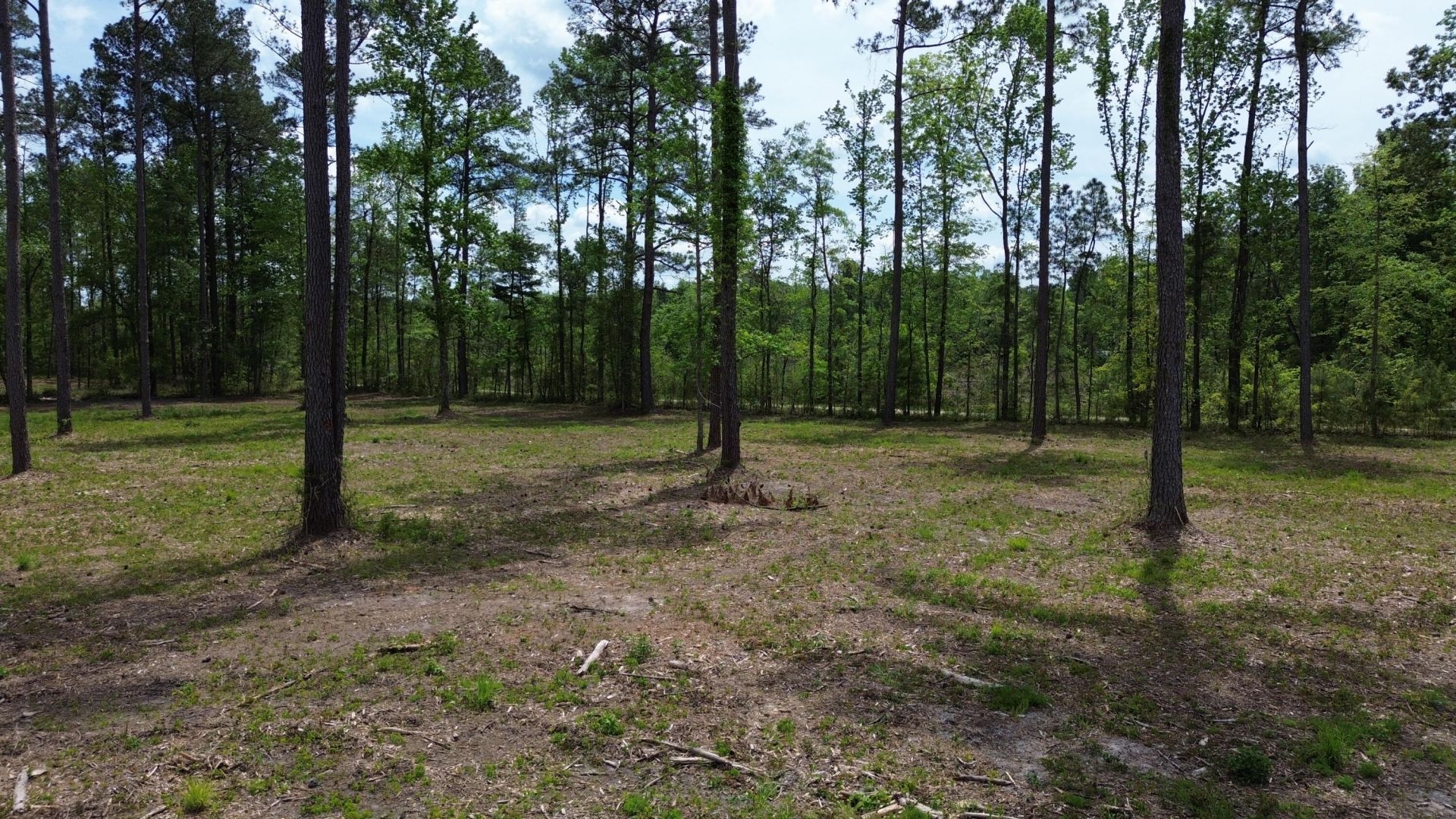 4 Highway 27 Photo 12