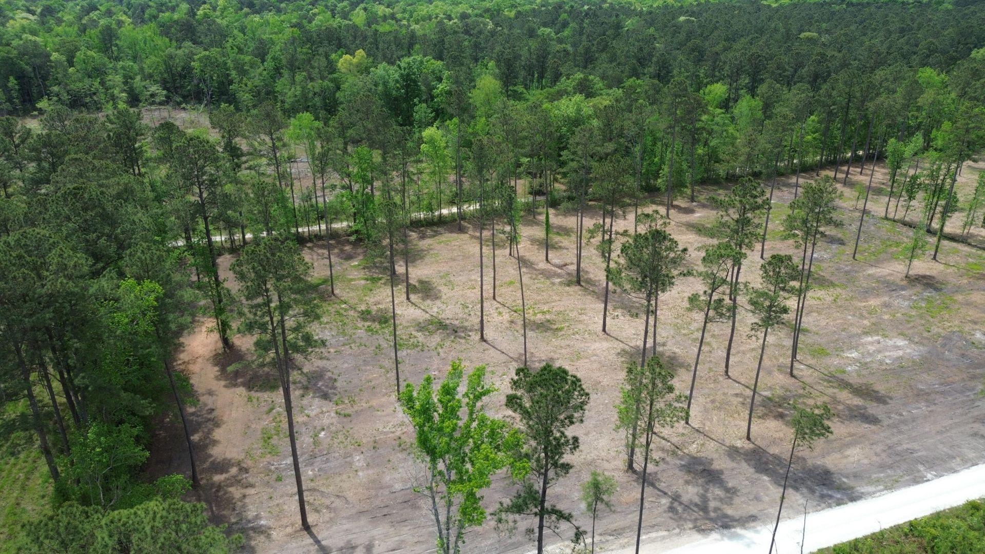 4 Highway 27 Photo 13